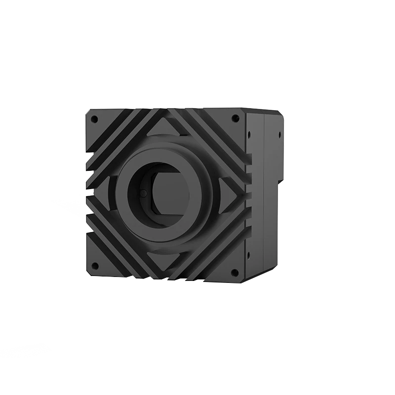 10 GigE area scan camera (LS-MV-...-10G)