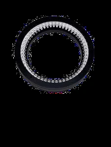Illuminazione ad anello 100 mm, 10° (LS-R10010)